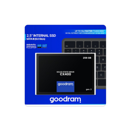 Kietasis SSD diskas Godram 256GB