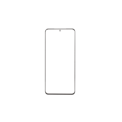 Samsung S20 LCD stikliukas
