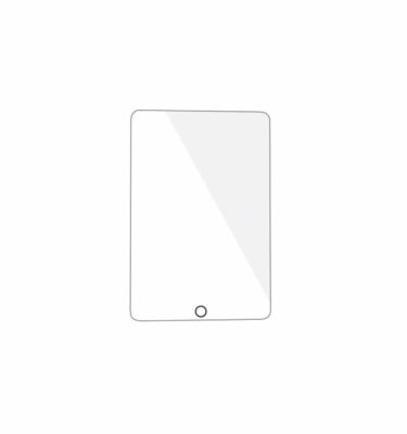 Apsauginis stikliukas iPad Mini 2 3