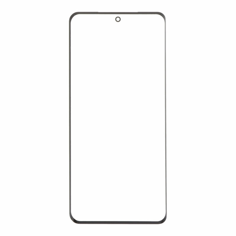 Ekrano stikliukas skirtas OnePlus 12 (Stiklas + OCA)